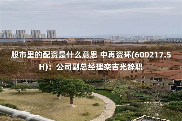 股市里的配资是什么意思 中再资环(600217.SH)：公司副总经理栾吉光辞职