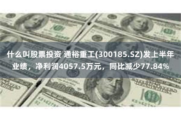 什么叫股票投资 通裕重工(300185.SZ)发上半年业绩，净利润4057.5万元，同比减少77.84%