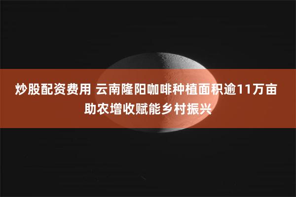 炒股配资费用 云南隆阳咖啡种植面积逾11万亩 助农增收赋能乡村振兴