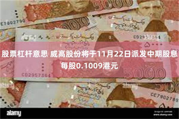 股票杠杆意思 威高股份将于11月22日派发中期股息每股0.1009港元