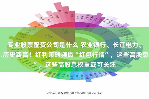 专业股票配资公司是什么 农业银行、长江电力、中国海油……历史新高！红利策略频掀“红包行情”，这些高股息权重或可关注