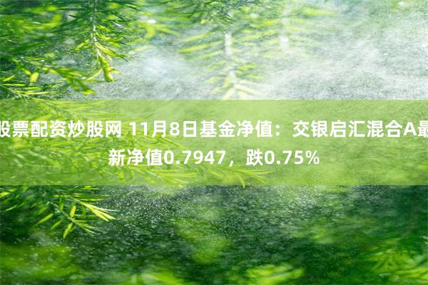 股票配资炒股网 11月8日基金净值：交银启汇混合A最新净值0.7947，跌0.75%