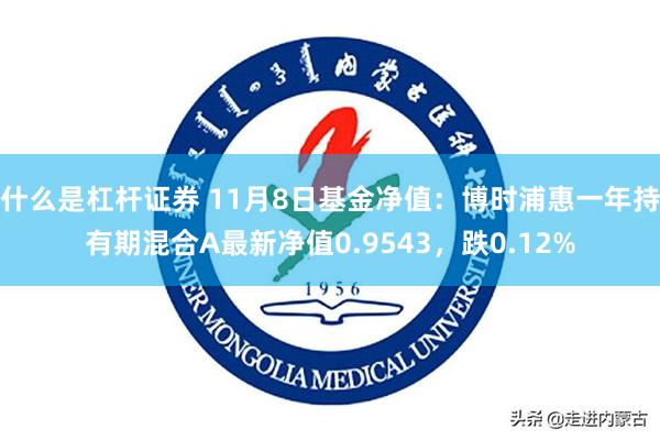 什么是杠杆证券 11月8日基金净值：博时浦惠一年持有期混合A最新净值0.9543，跌0.12%