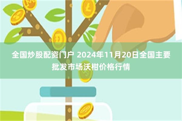 全国炒股配资门户 2024年11月20日全国主要批发市场沃柑价格行情