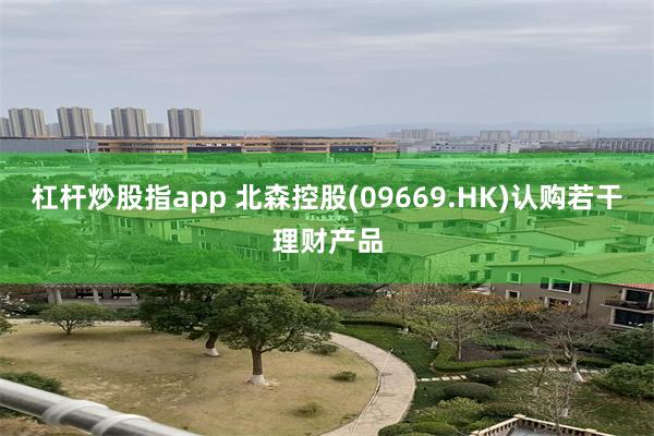 杠杆炒股指app 北森控股(09669.HK)认购若干理财产品