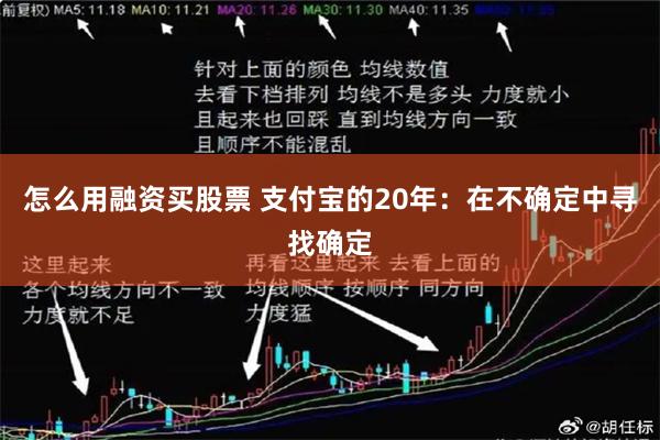 怎么用融资买股票 支付宝的20年：在不确定中寻找确定