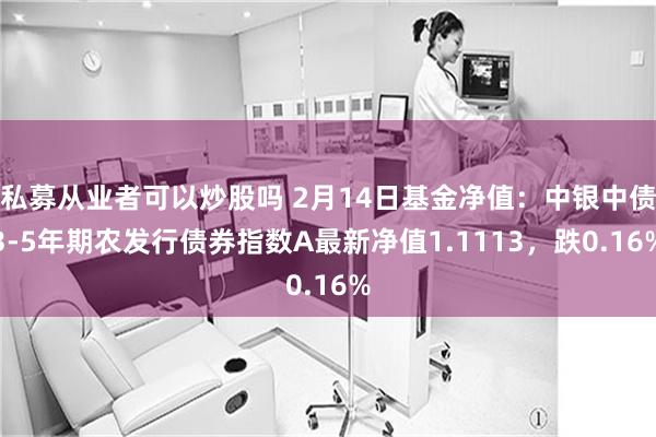 私募从业者可以炒股吗 2月14日基金净值：中银中债3-5年期农发行债券指数A最新净值1.1113，跌0.16%