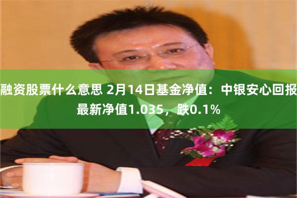 融资股票什么意思 2月14日基金净值：中银安心回报最新净值1.035，跌0.1%