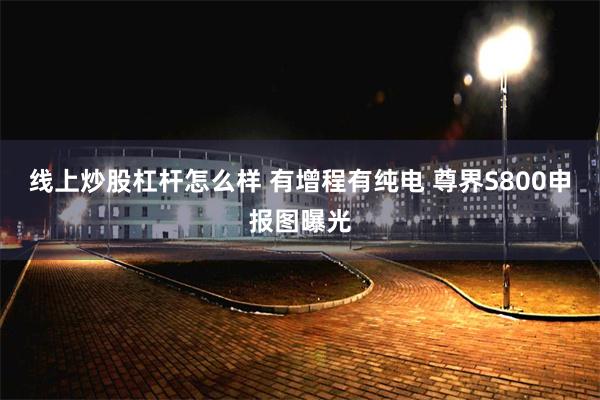 线上炒股杠杆怎么样 有增程有纯电 尊界S800申报图曝光